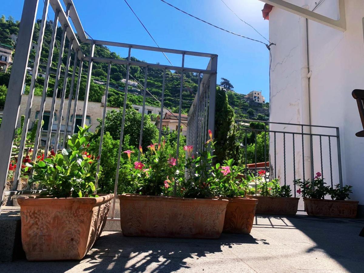 L'Albero Della Vita Minori Exteriér fotografie